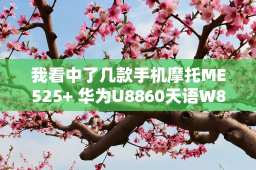 我看中了几款手机摩托ME525+ 华为U8860天语W806大黄蜂魅族M9!那个好点啊