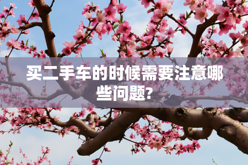 买二手车的时候需要注意哪些问题?