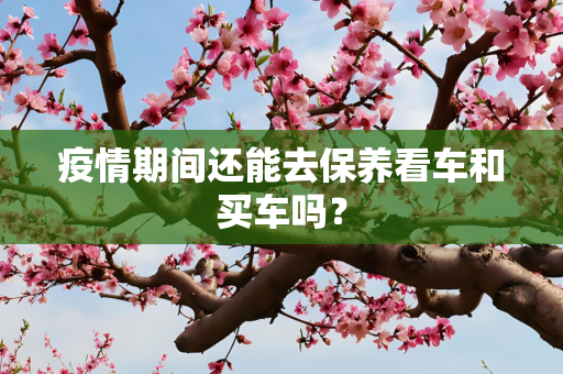 疫情期间还能去保养看车和买车吗？