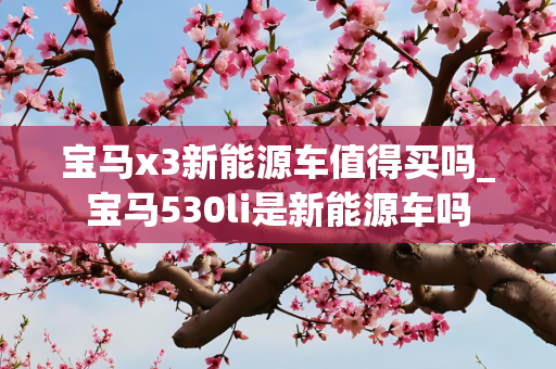 宝马x3新能源车值得买吗_宝马530li是新能源车吗