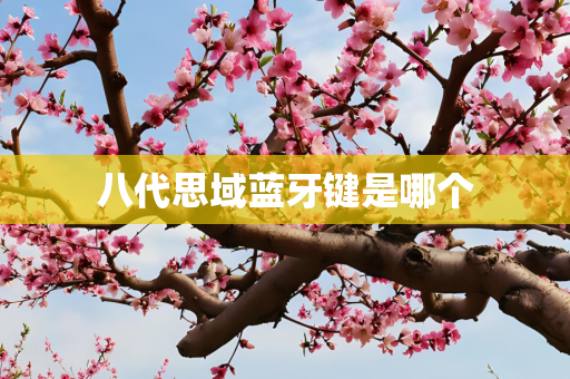 八代思域蓝牙键是哪个