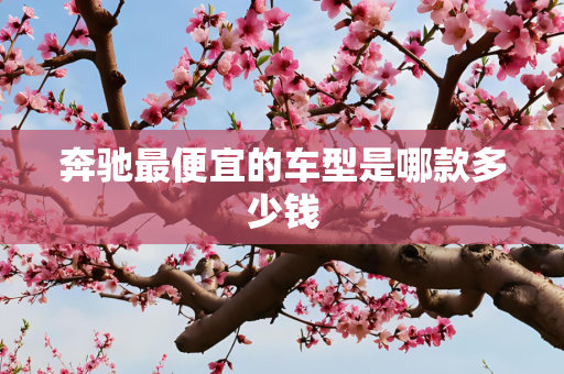 奔驰最便宜的车型是哪款多少钱