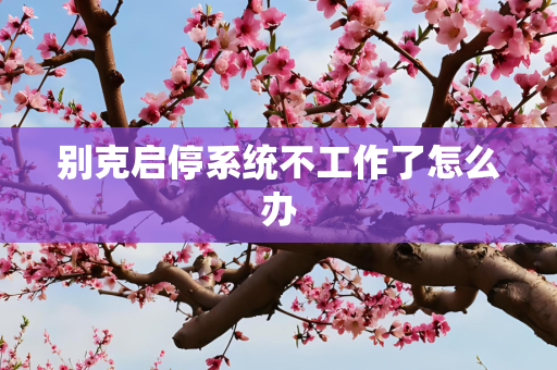 别克启停系统不工作了怎么办