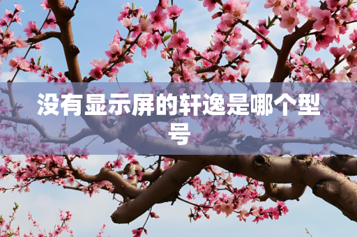 没有显示屏的轩逸是哪个型号