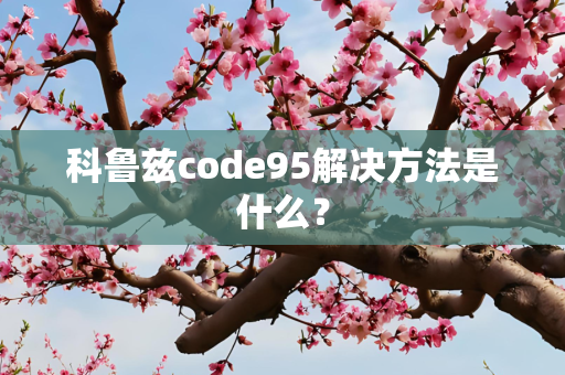 科鲁兹code95解决方法是什么？