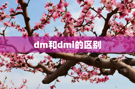 dm和dmi的区别