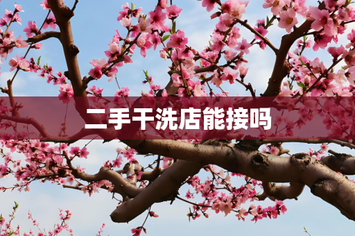 二手干洗店能接吗