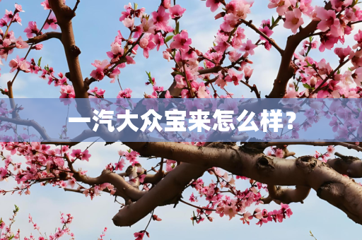一汽大众宝来怎么样？