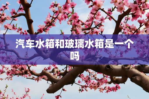 汽车水箱和玻璃水箱是一个吗