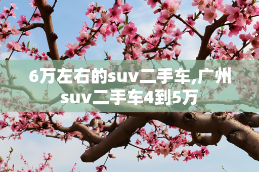 6万左右的suv二手车,广州suv二手车4到5万
