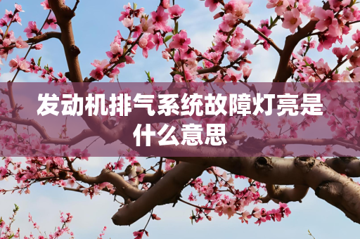 发动机排气系统故障灯亮是什么意思