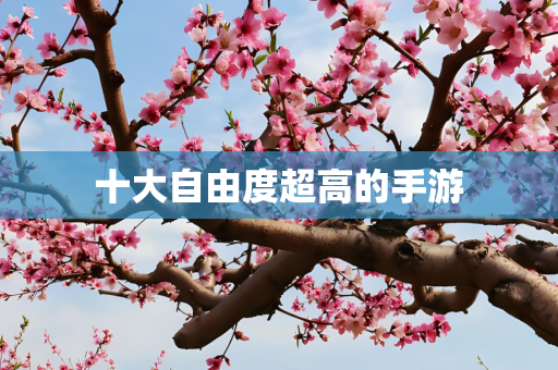 十大自由度超高的手游