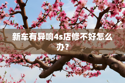 新车有异响4s店修不好怎么办？