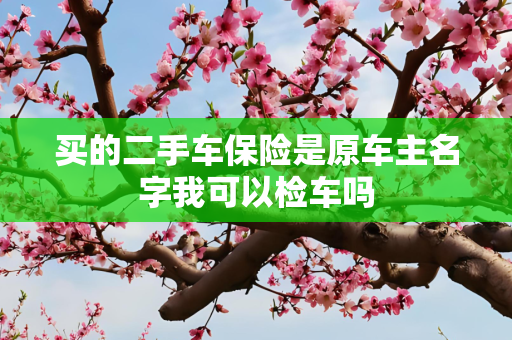 买的二手车保险是原车主名字我可以检车吗