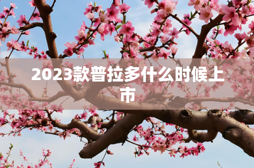 2023款普拉多什么时候上市