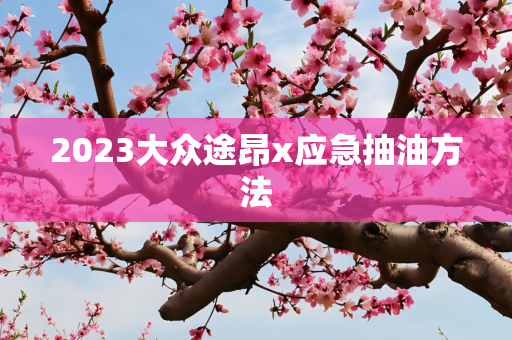 2023大众途昂x应急抽油方法