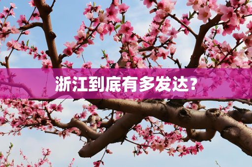 浙江到底有多发达？