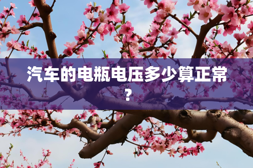 汽车的电瓶电压多少算正常？