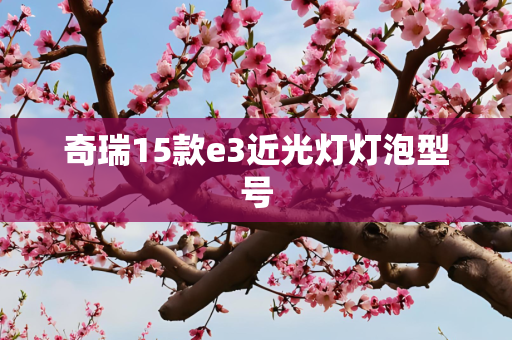 奇瑞15款e3近光灯灯泡型号