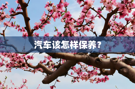 汽车该怎样保养？