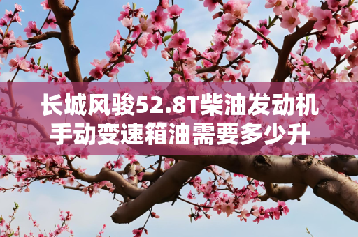 长城风骏52.8T柴油发动机手动变速箱油需要多少升