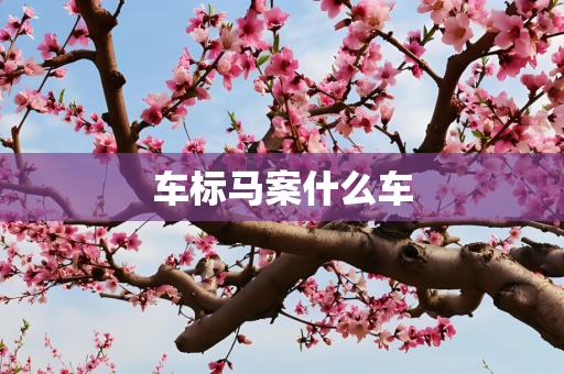 车标马案什么车