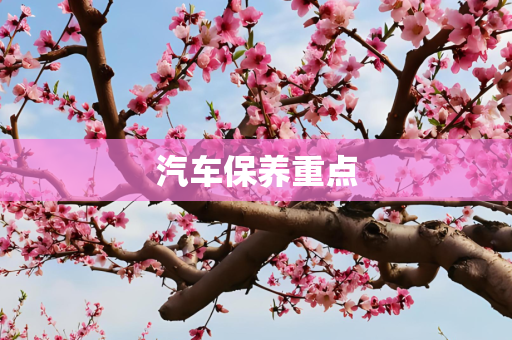 汽车保养重点