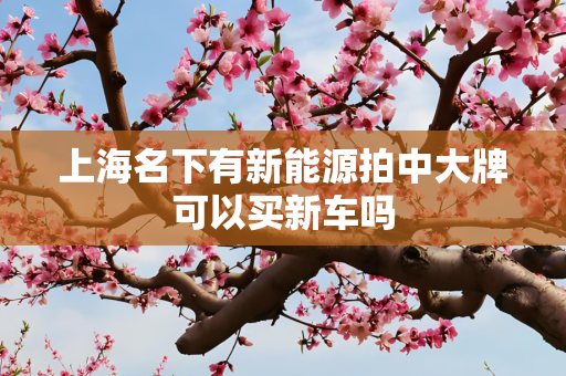 上海名下有新能源拍中大牌可以买新车吗