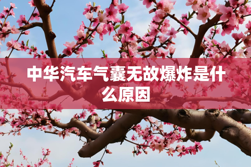 中华汽车气囊无故爆炸是什么原因