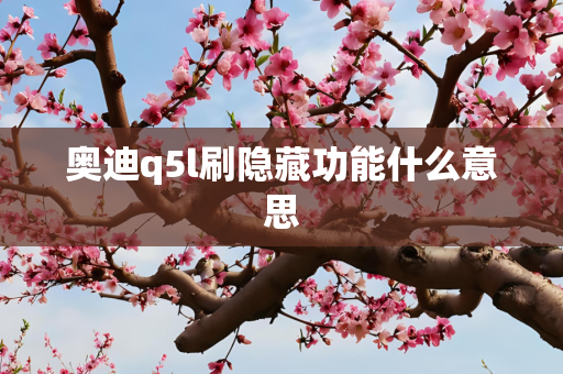 奥迪q5l刷隐藏功能什么意思