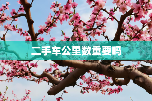 二手车公里数重要吗