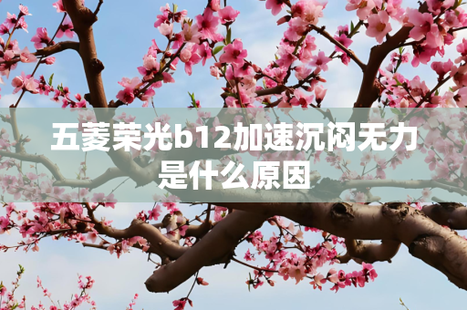 五菱荣光b12加速沉闷无力是什么原因