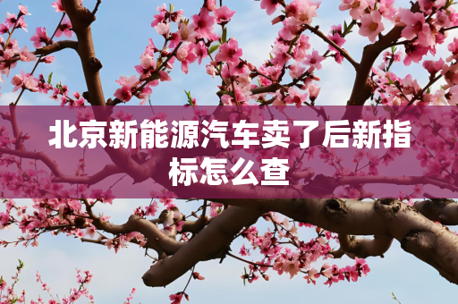 北京新能源汽车卖了后新指标怎么查