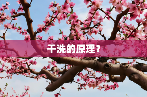 干洗的原理？