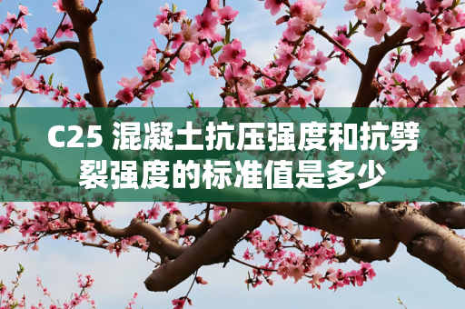 C25 混凝土抗压强度和抗劈裂强度的标准值是多少