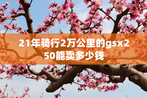 21年骑行2万公里的gsx250能卖多少钱