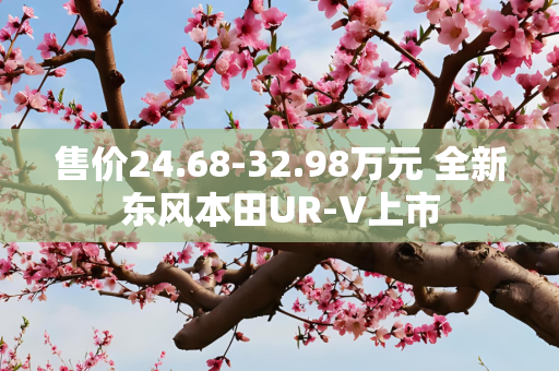 售价24.68-32.98万元 全新东风本田UR-V上市