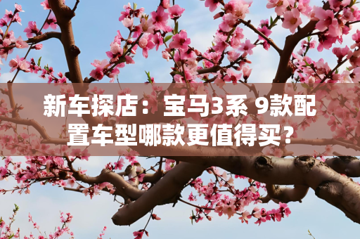 新车探店：宝马3系 9款配置车型哪款更值得买？