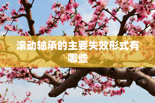 滚动轴承的主要失效形式有哪些