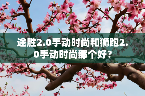 途胜2.0手动时尚和狮跑2.0手动时尚那个好？