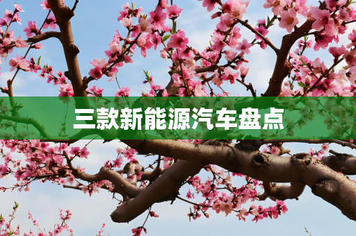 三款新能源汽车盘点