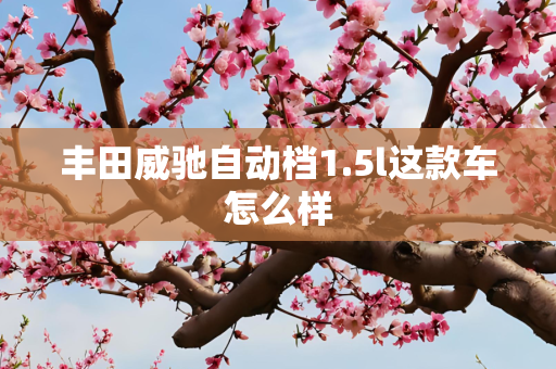丰田威驰自动档1.5l这款车怎么样
