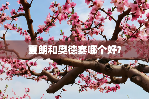 夏朗和奥德赛哪个好?
