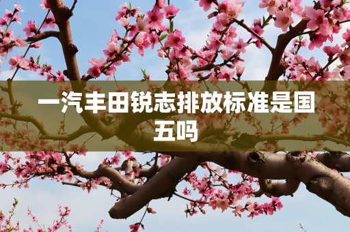 一汽丰田锐志排放标准是国五吗
