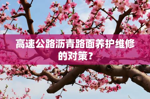 高速公路沥青路面养护维修的对策？