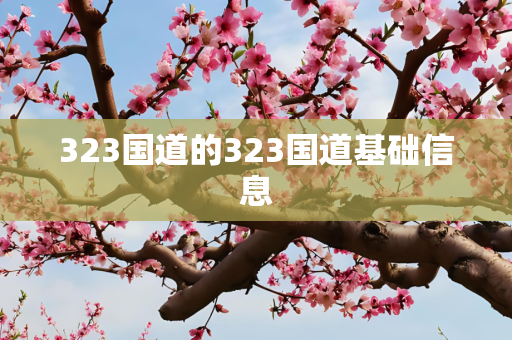 323国道的323国道基础信息