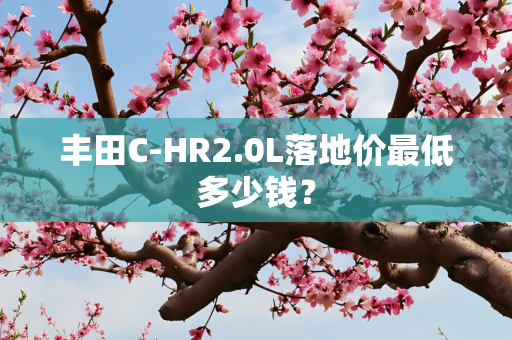 丰田C-HR2.0L落地价最低多少钱？