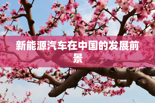 新能源汽车在中国的发展前景
