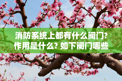 消防系统上都有什么阀门?作用是什么? 如下阀门哪些有止回作用?
