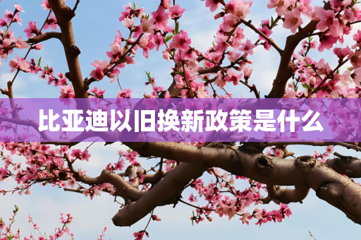 比亚迪以旧换新政策是什么